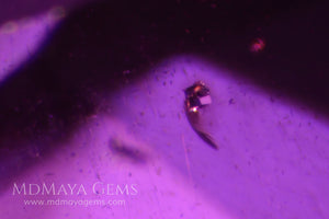 Solid inclusions in purple rhodolite garnet 2.36 ct