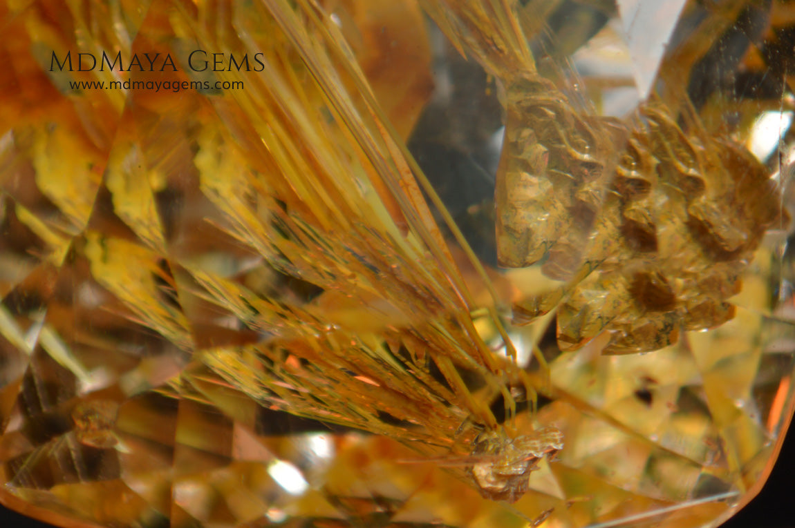 Inclusions in white topaz 19.62 ct