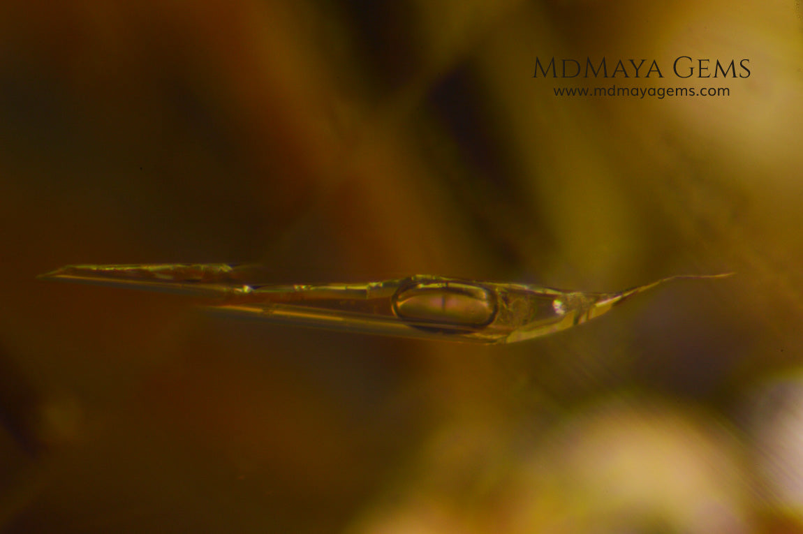 Inclusions in white topaz 19.62 ct