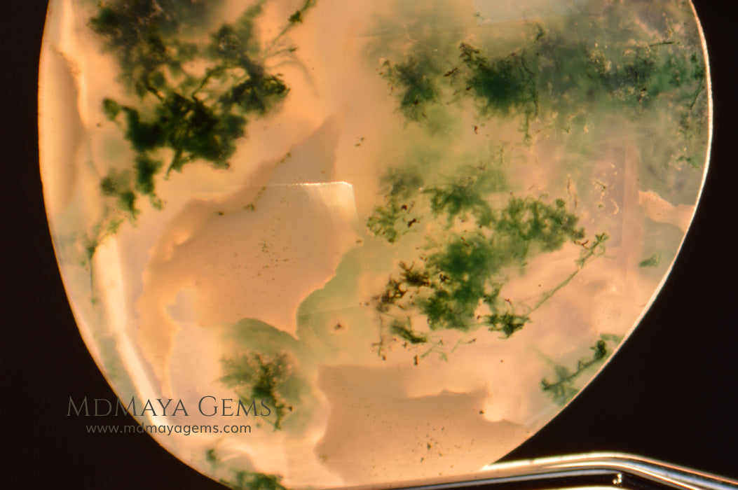 Green Moss Agate with dendritic inclusions 14.60 ct