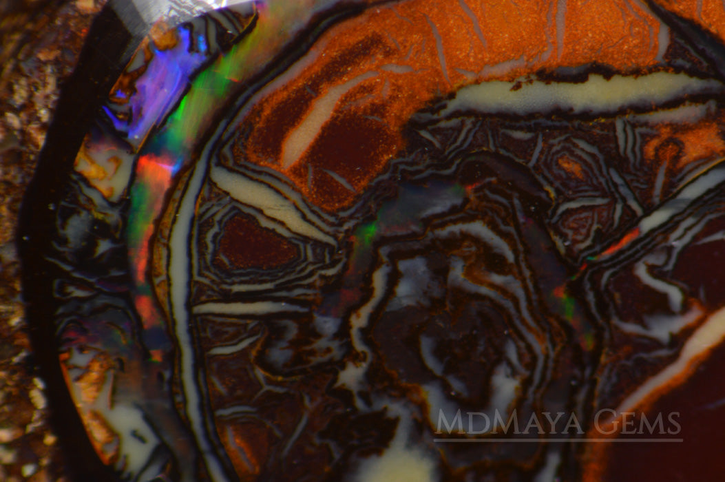 Australian Solid Yowah Boulder Opal 5.26ct under microscope