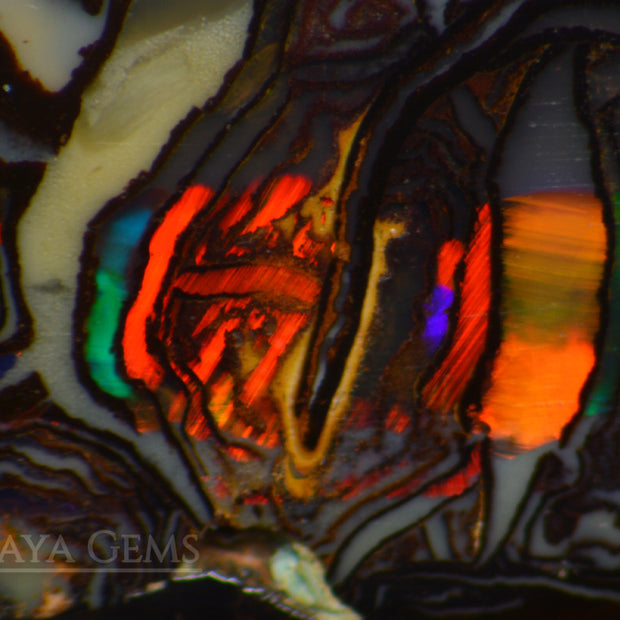 Australian Solid Yowah Boulder Opal 5.26ct under microscope