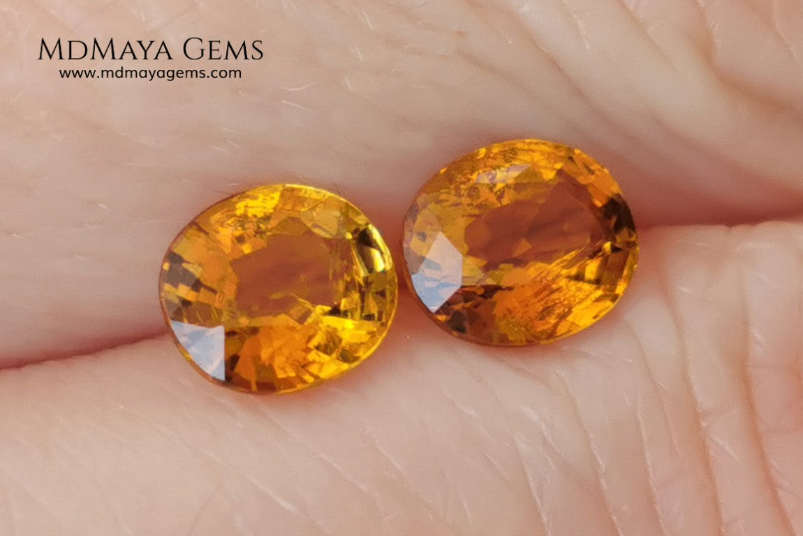Orange Tourmaline Pair 1.46 ct. Oval Cut. Rare gemstones with a beautiful honey color. There are not many orange gems, although it is the favorite color of many people and these look impressive mounted in jewelry. Natural and untreated precious stones at an affordable price.