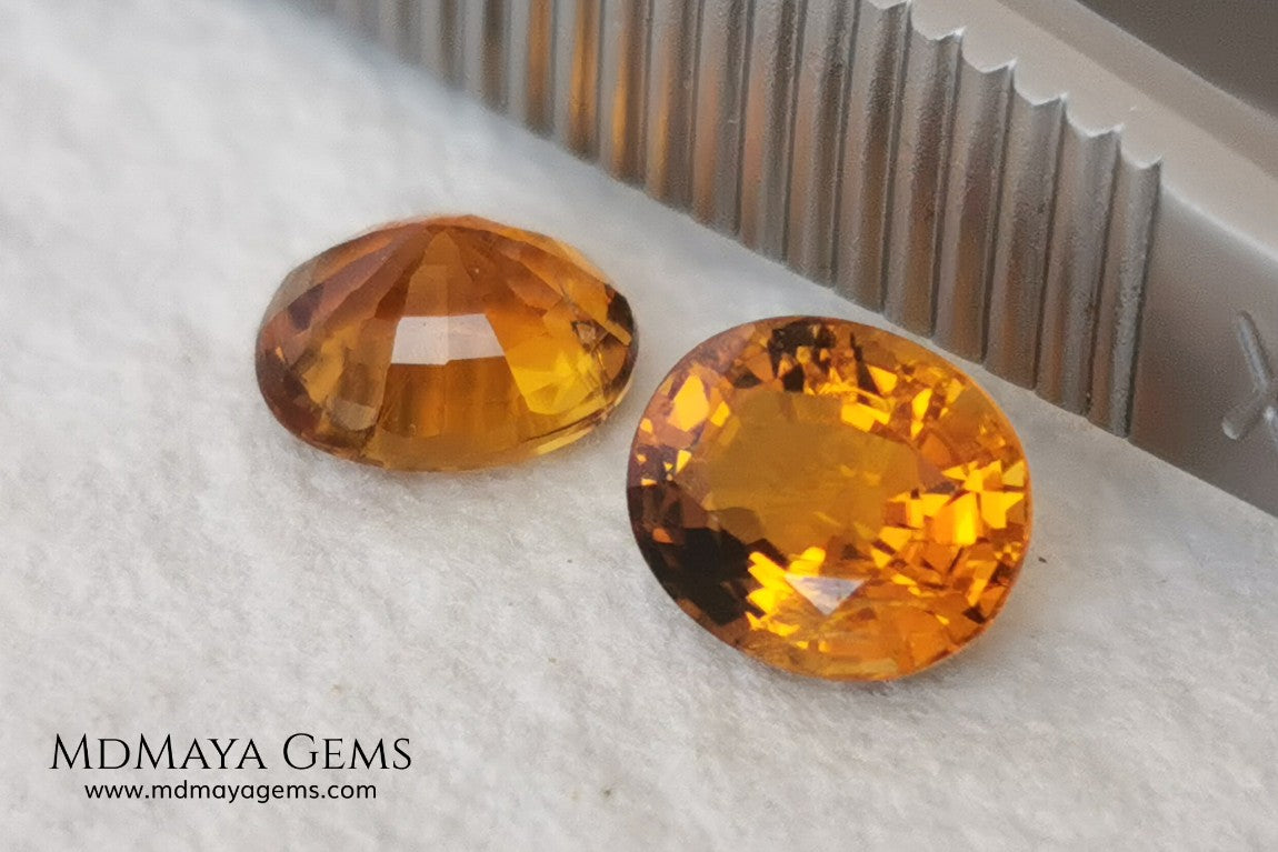 Orange Tourmaline Pair 1.46 ct. Oval Cut. Rare gemstones with a beautiful honey color. There are not many orange gems, although it is the favorite color of many people and these look impressive mounted in jewelry. Natural and untreated precious stones at an affordable price.