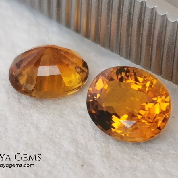 Orange Tourmaline Pair 1.46 ct. Oval Cut. Rare gemstones with a beautiful honey color. There are not many orange gems, although it is the favorite color of many people and these look impressive mounted in jewelry. Natural and untreated precious stones at an affordable price.