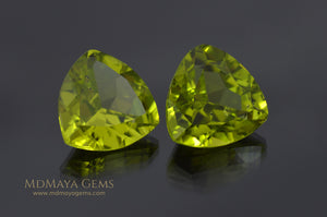 Genuine Green Peridot Gems Trillion Cut 6.50 ct pair