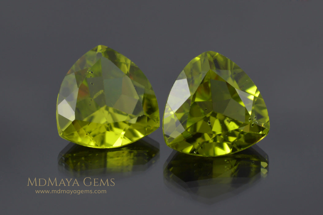 Genuine Green Peridot Gems Trillion Cut 6.50 ct pair