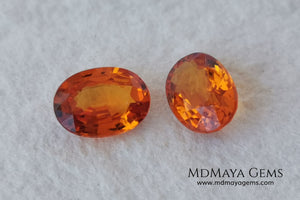  Pair Mandarin Garnet. Oval Cut. 1.82 ct total. Stunning and Bright Orange Spessartite Garnets. Beautiful pair of natural and untreated gemstones, they will be superb on some earrings. They are full of life, they are pure orange. Don't miss it!