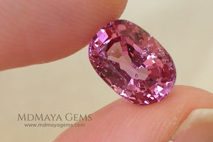 Crown Pink Burmese Spinel Oval cut 2.44 ct under daylight