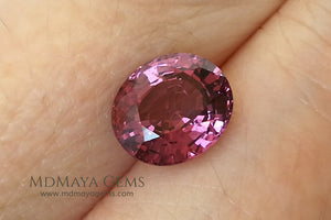 Glowing Pink Spinel from Tanzania Oval cut 2.66 ct under daylight