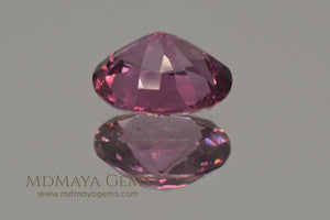 Purple Red Spinel Oval cut 1.66 ct