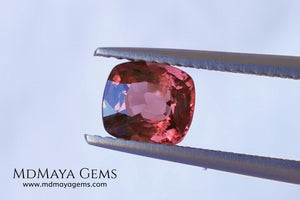 Red - Orange Spinel. Cushion Cut. 1.11 cts. Beautiful untreated gem for your personalized jewelry. This beautiful spinel is so inexpensively priced due to a fracture in the pavilion, it is not visible and does not affect the beauty of the gem at all.